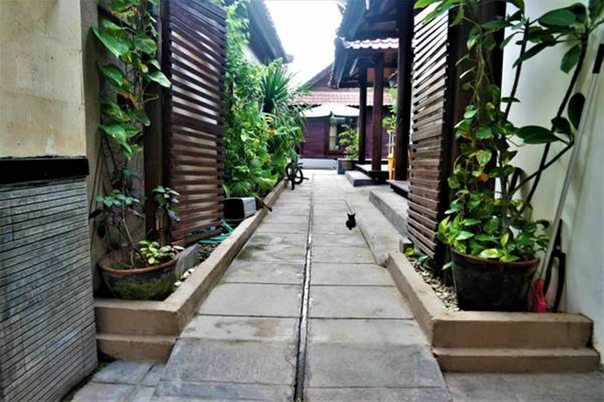 Drupadi Bungalows กีลีตราวางัน ภายนอก รูปภาพ